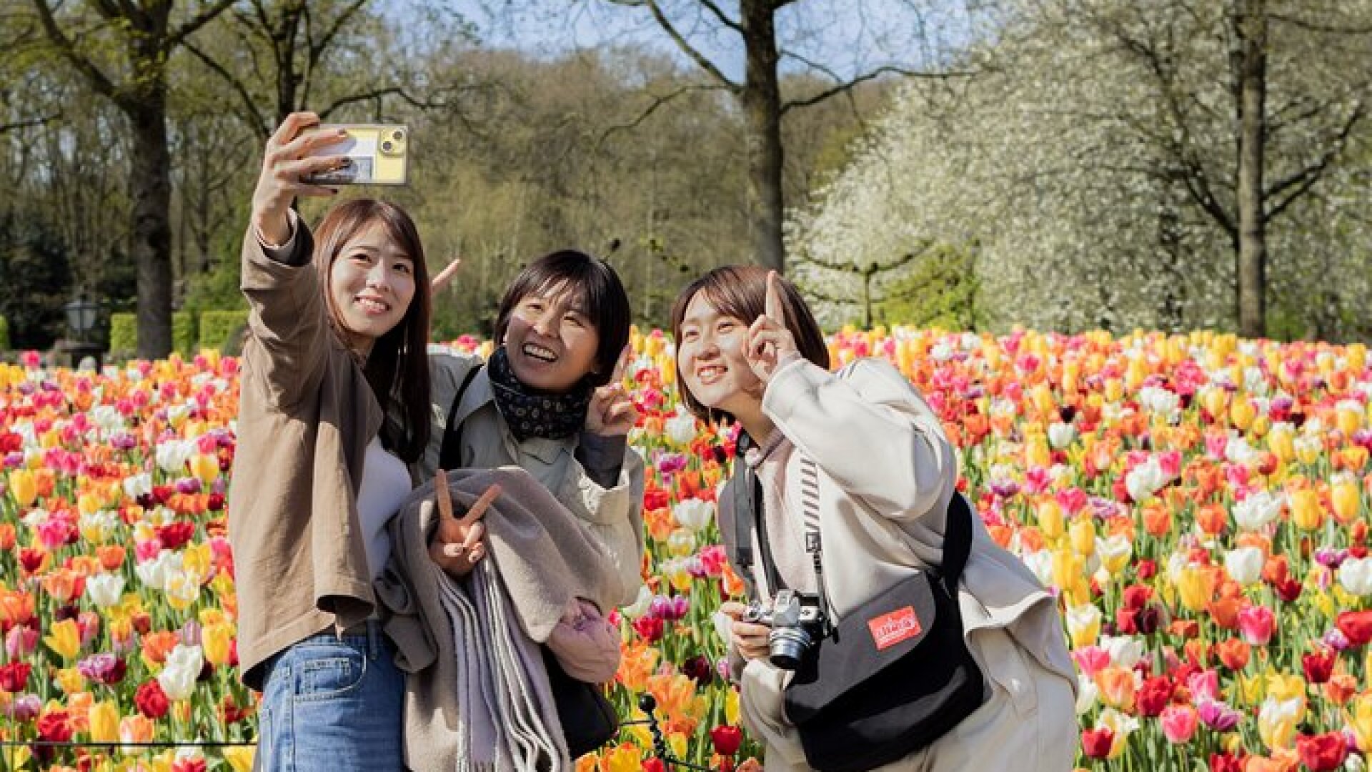 Amsterdam: Keukenhof Entry & Shuttle Bus with Flexible Return