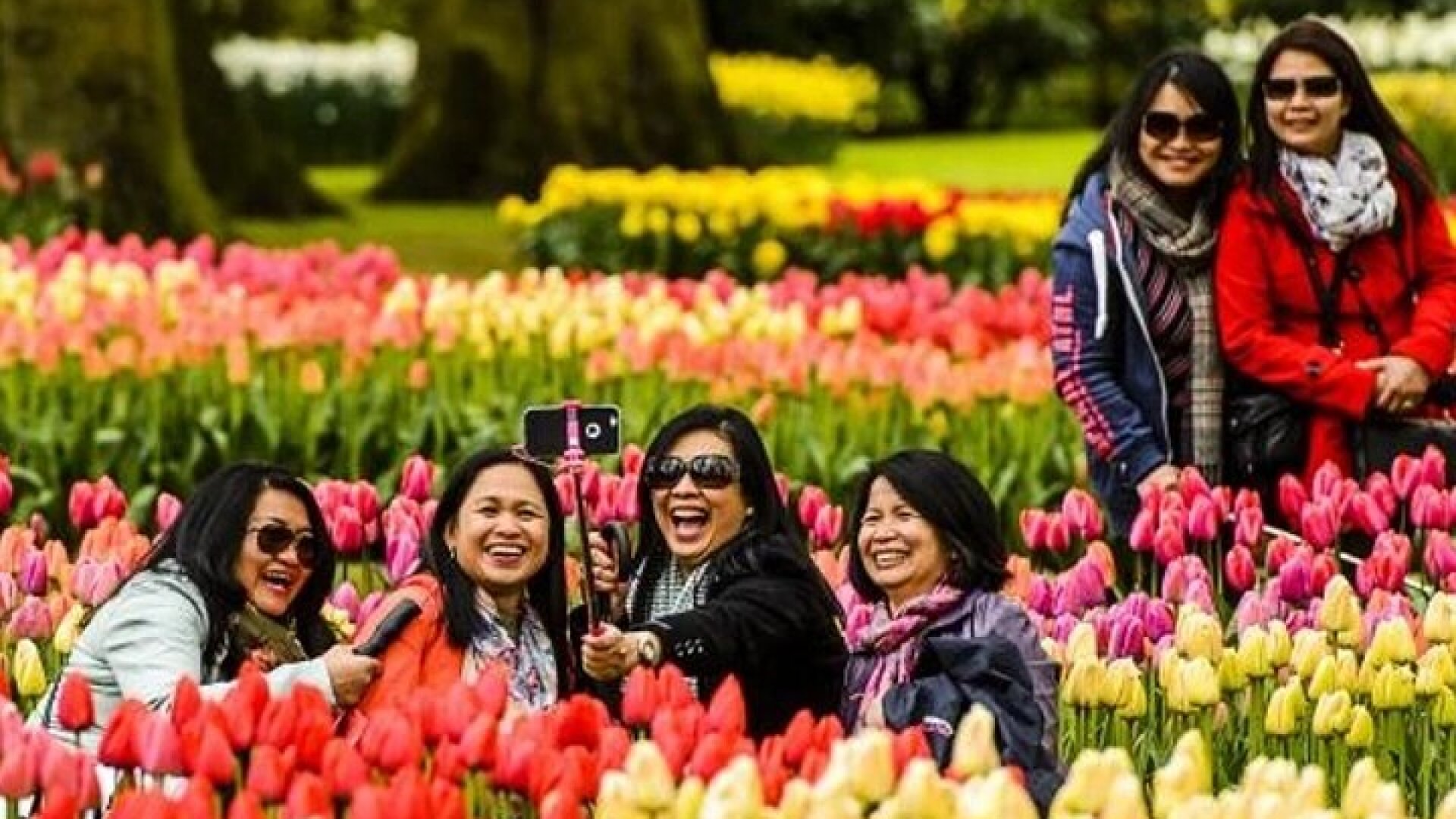 Amsterdam: Keukenhof Entry & Shuttle Bus with Flexible Return