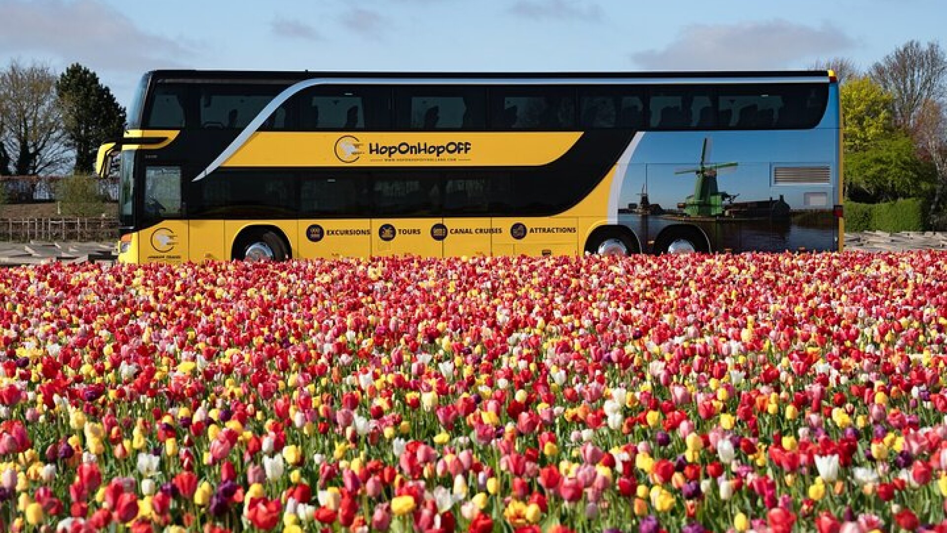 Amsterdam: Keukenhof Entry & Shuttle Bus with Flexible Return