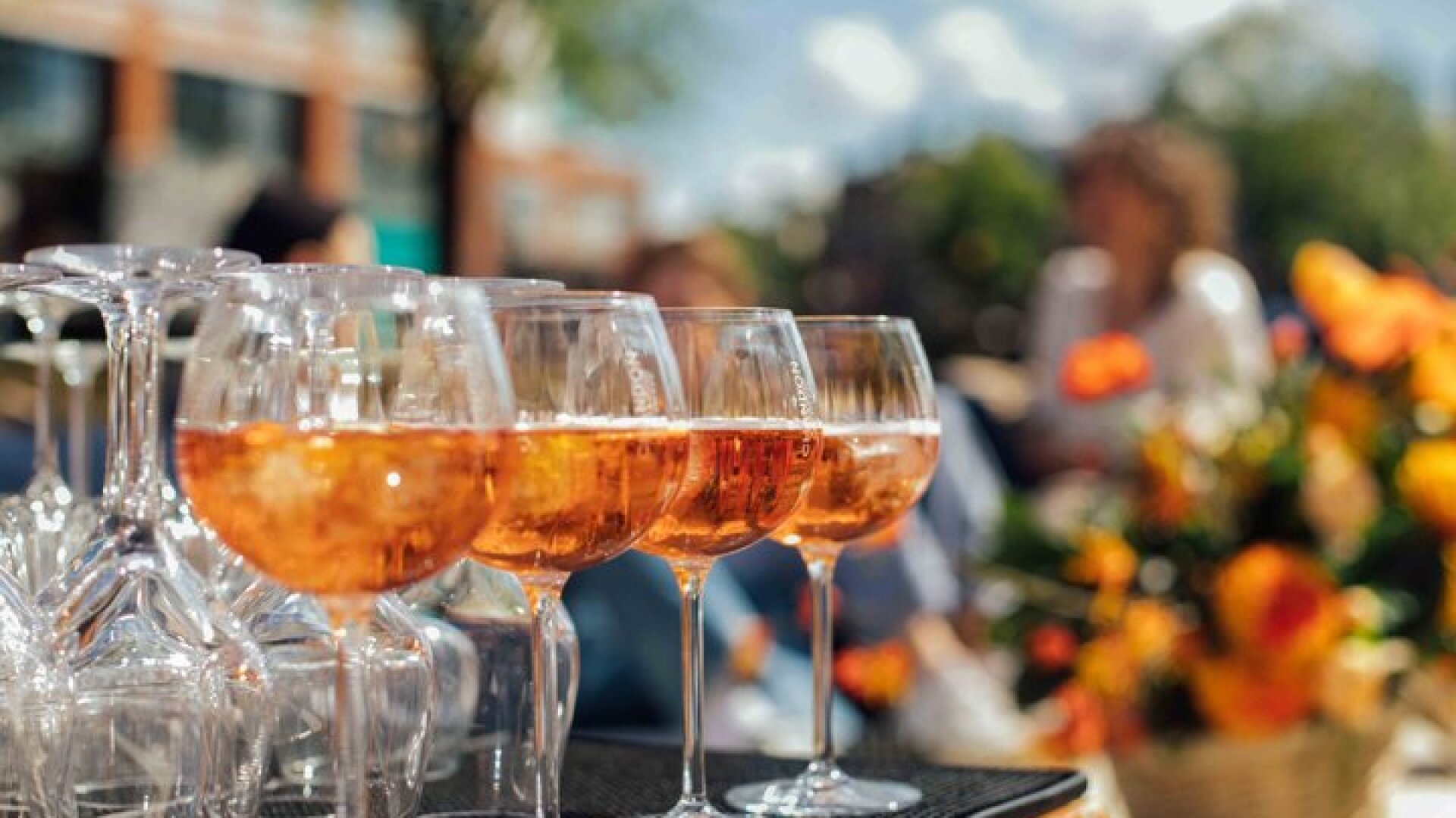 Amsterdam: Luxury Canal Cruise including Cocktails & Snacks