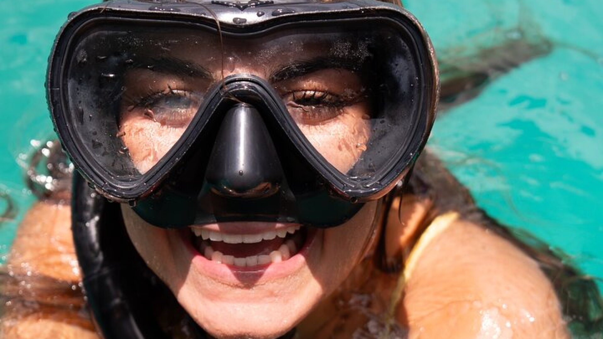 Harbour Lights-Chair &Turtle Shipwreck Snorkel Tour(10:30-1:30pm)