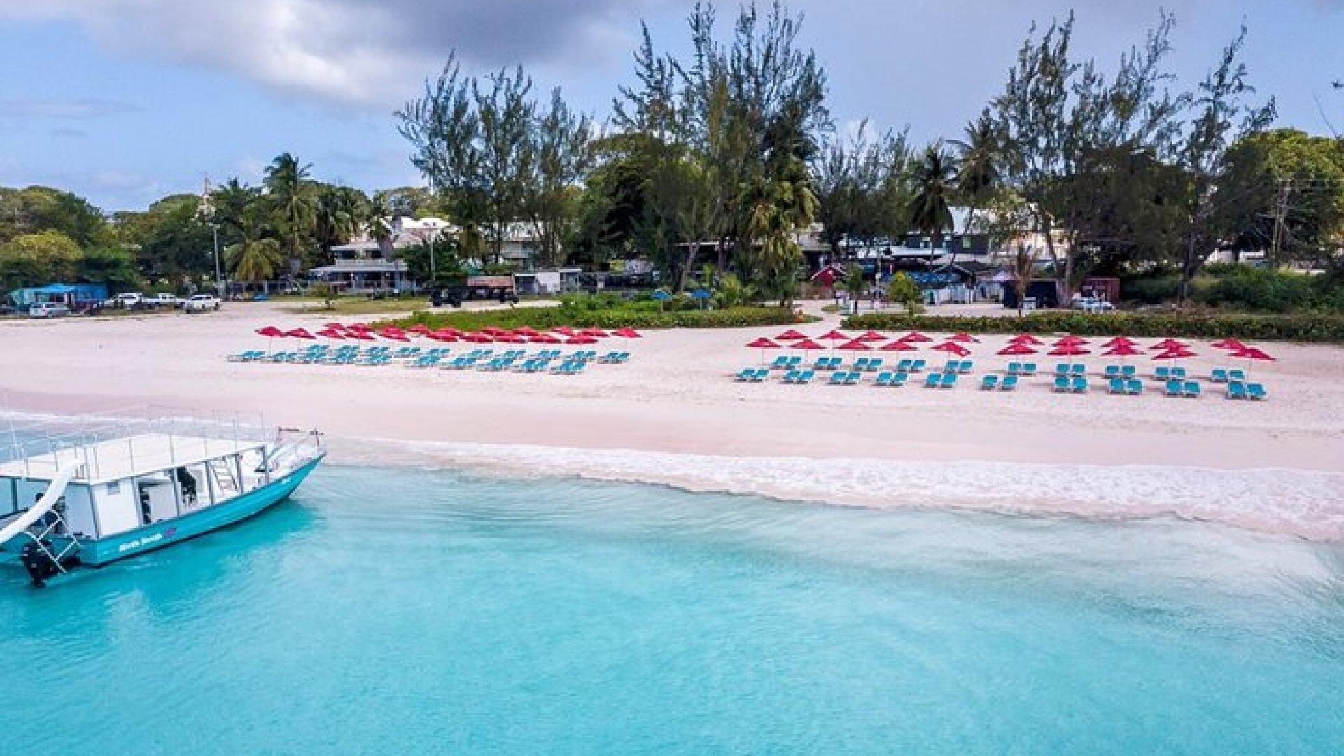 Harbour Lights-Chair &Turtle Shipwreck Snorkel Tour(10:30-1:30pm)