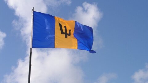 Historic Walking Tour of Bridgetown Barbados