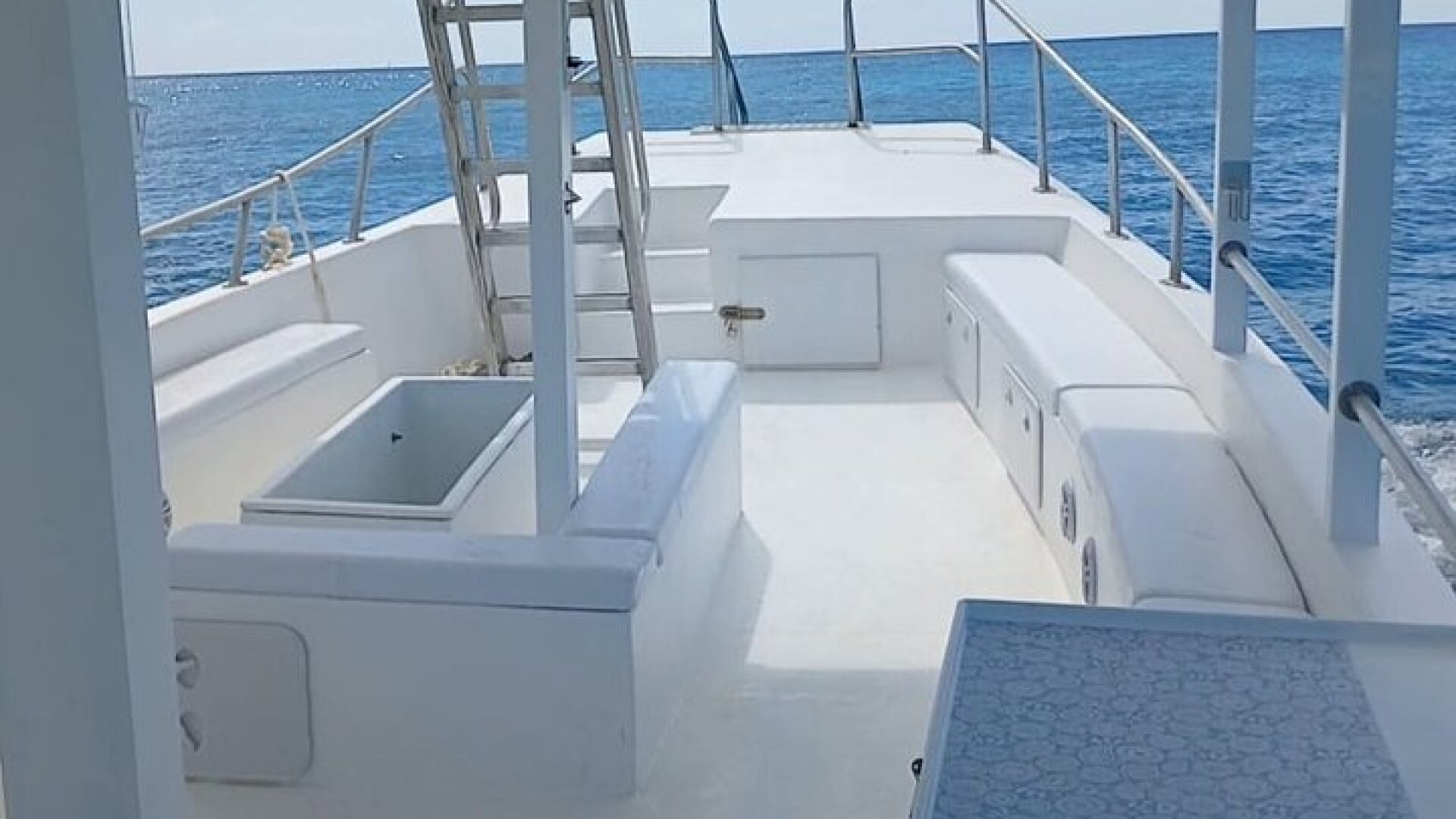 2 Hours Turtle Feeding, Shipwreck & Reef Snorkeling Tour Barbados