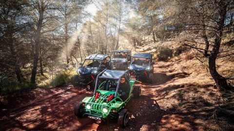 Buggy Tours in Benidorm