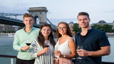 Daytime and Sunset Cruise on the Danube with Drink Options