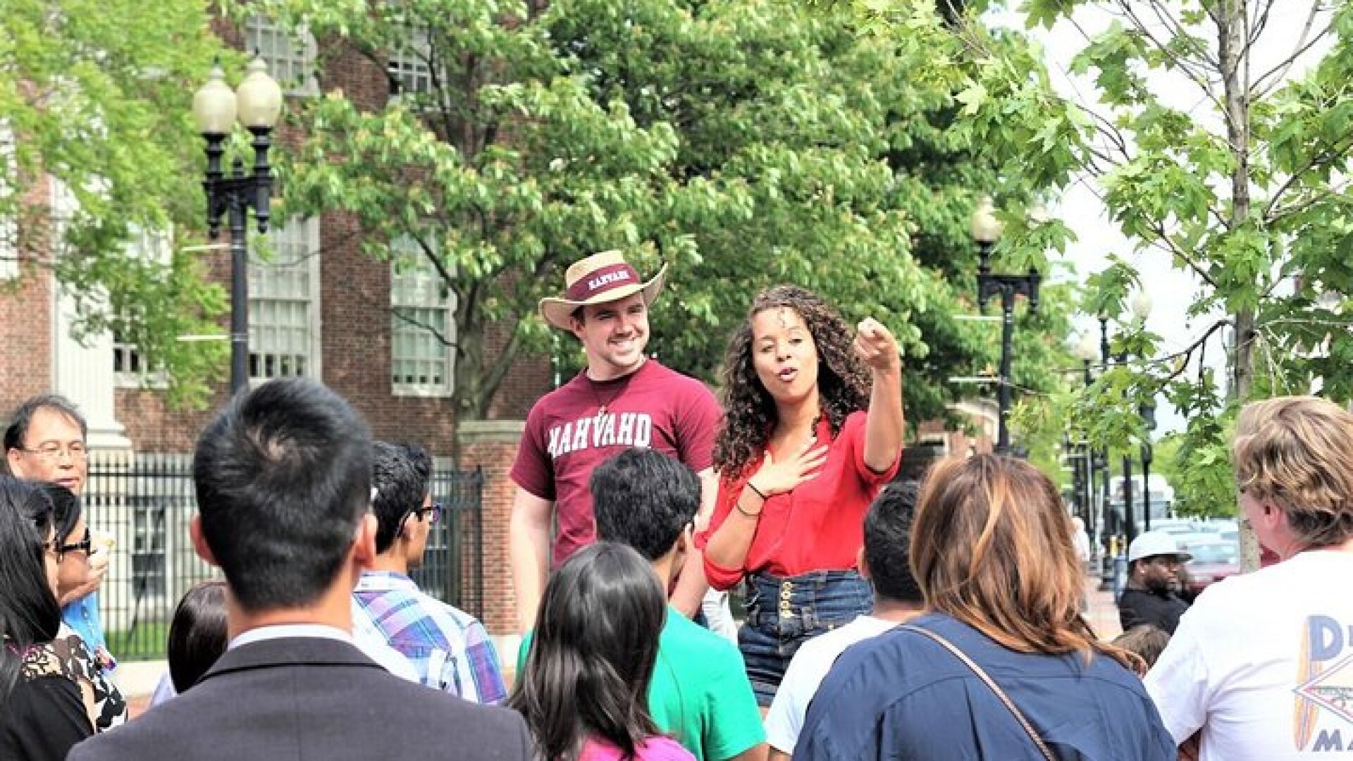 Harvard University Campus Guided Walking Tour
