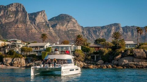 1 Hour Coastal Catamaran Cruise from Cape Town
