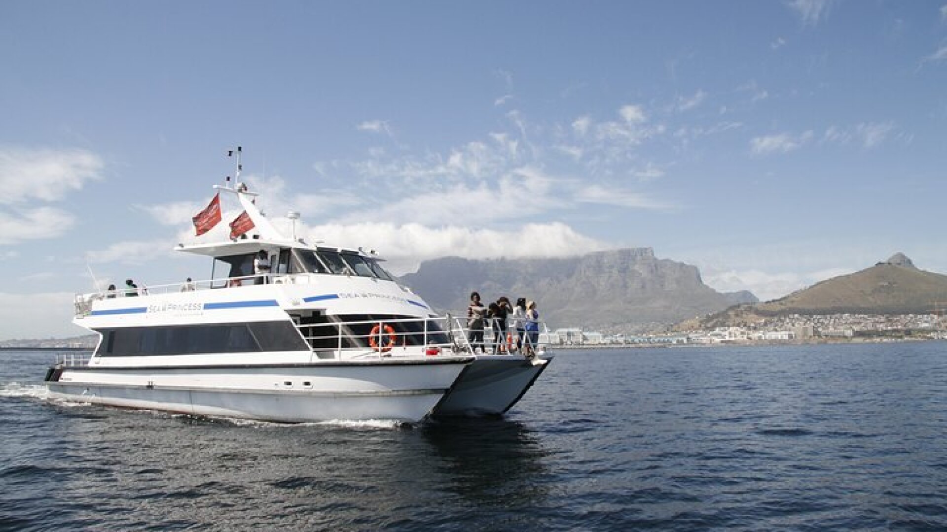 1 Hour Coastal Catamaran Cruise from Cape Town