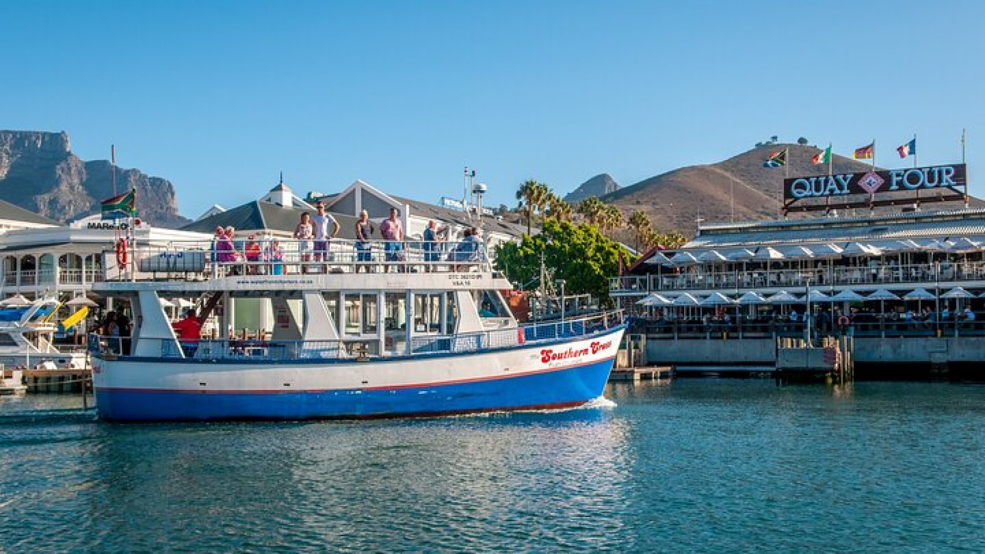 1 Hour Coastal Catamaran Cruise from Cape Town