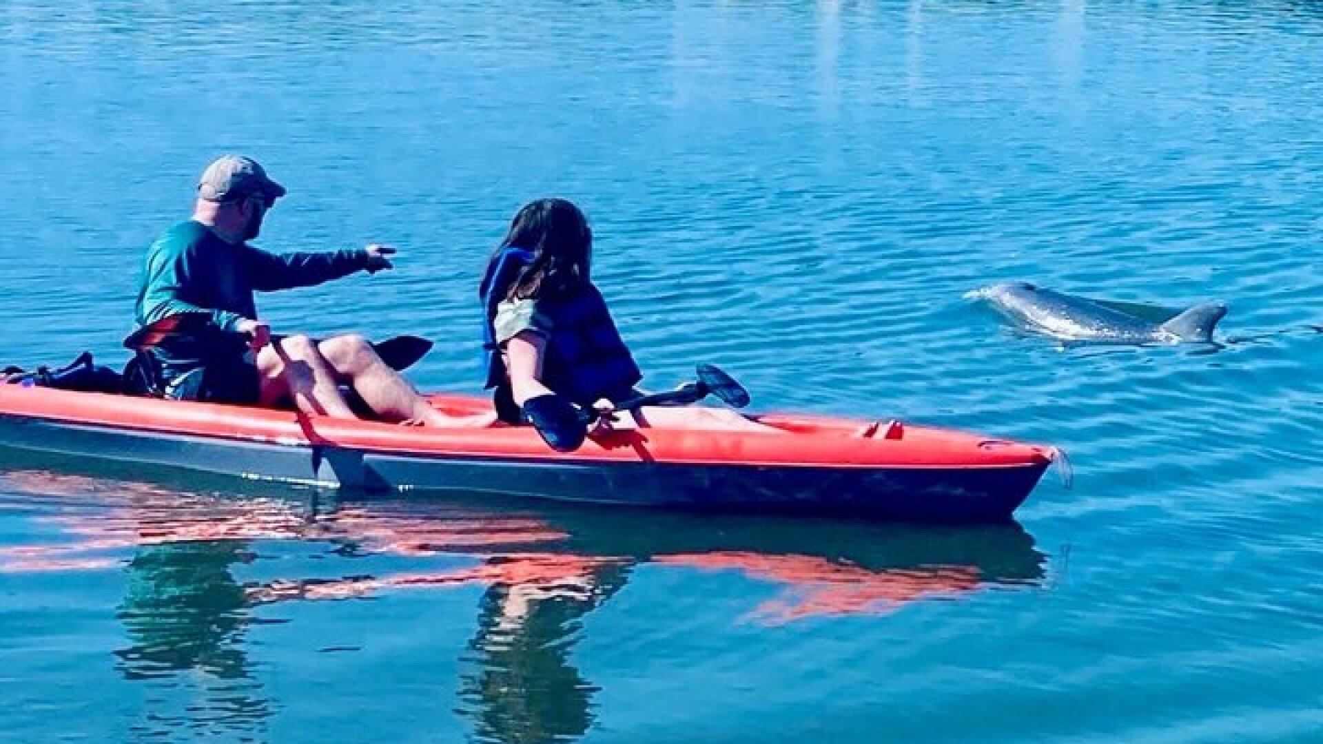 Dolphin and Manatee Kayak Tour of Daytona Beach