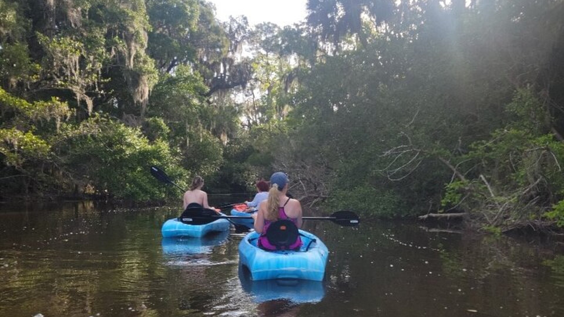 New Smyrna Dolphin and Manatee Kayak and SUP Adventure Tour