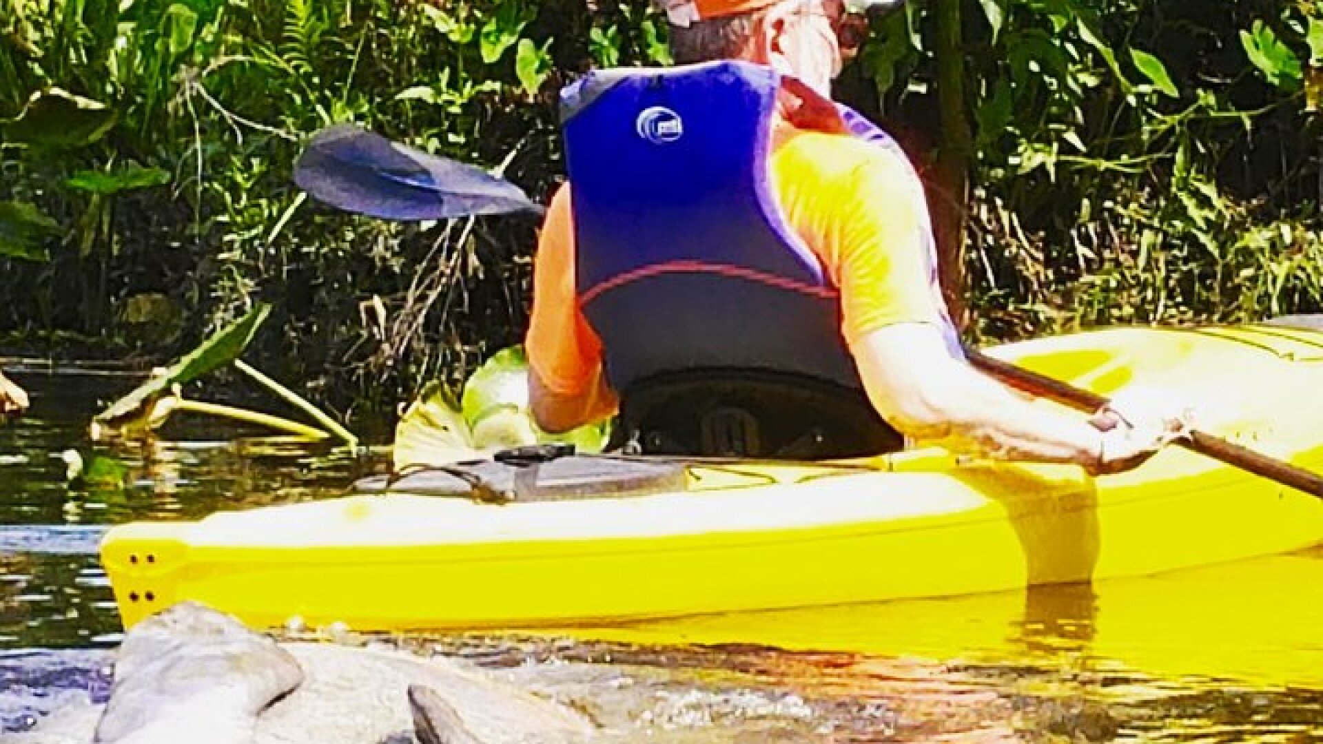 Orlando Manatee Encounters