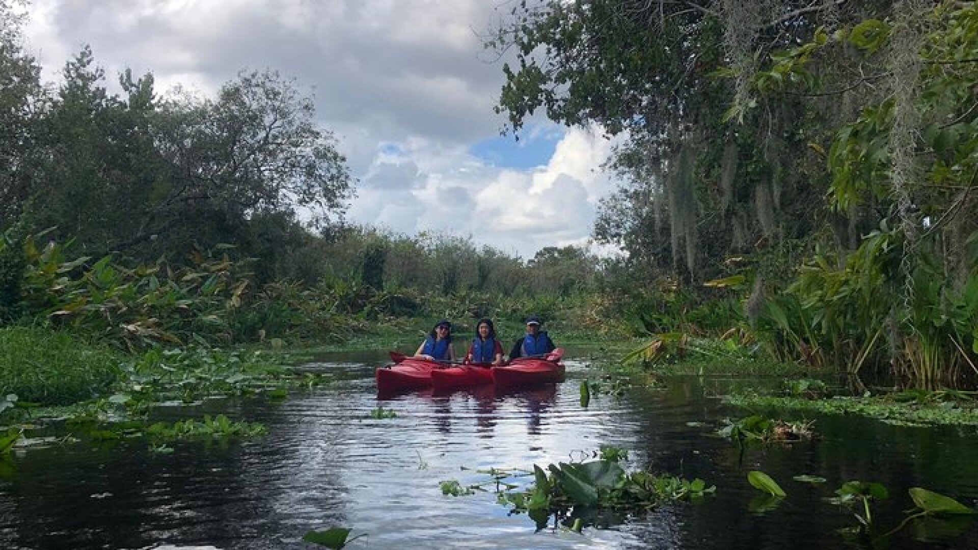 Orlando Manatee Encounters