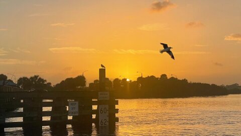 Daytona Beach Champagne Sunset Cruise