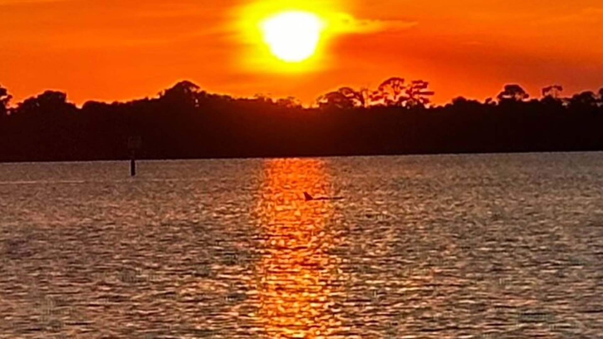 Daytona Beach Champagne Sunset Cruise