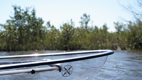 2-Hour Glass Bottom Guided Eco Tour in Flagler County-Small-group