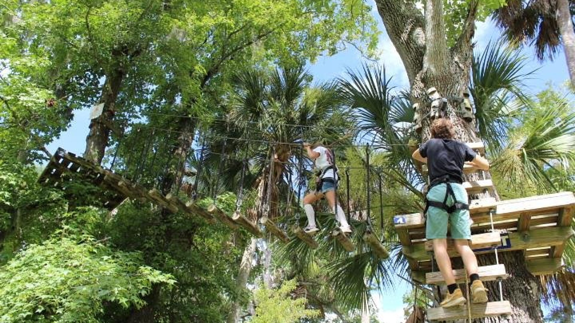 Zipline Adventure through Tuscawilla Park