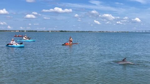Kayak Rentals