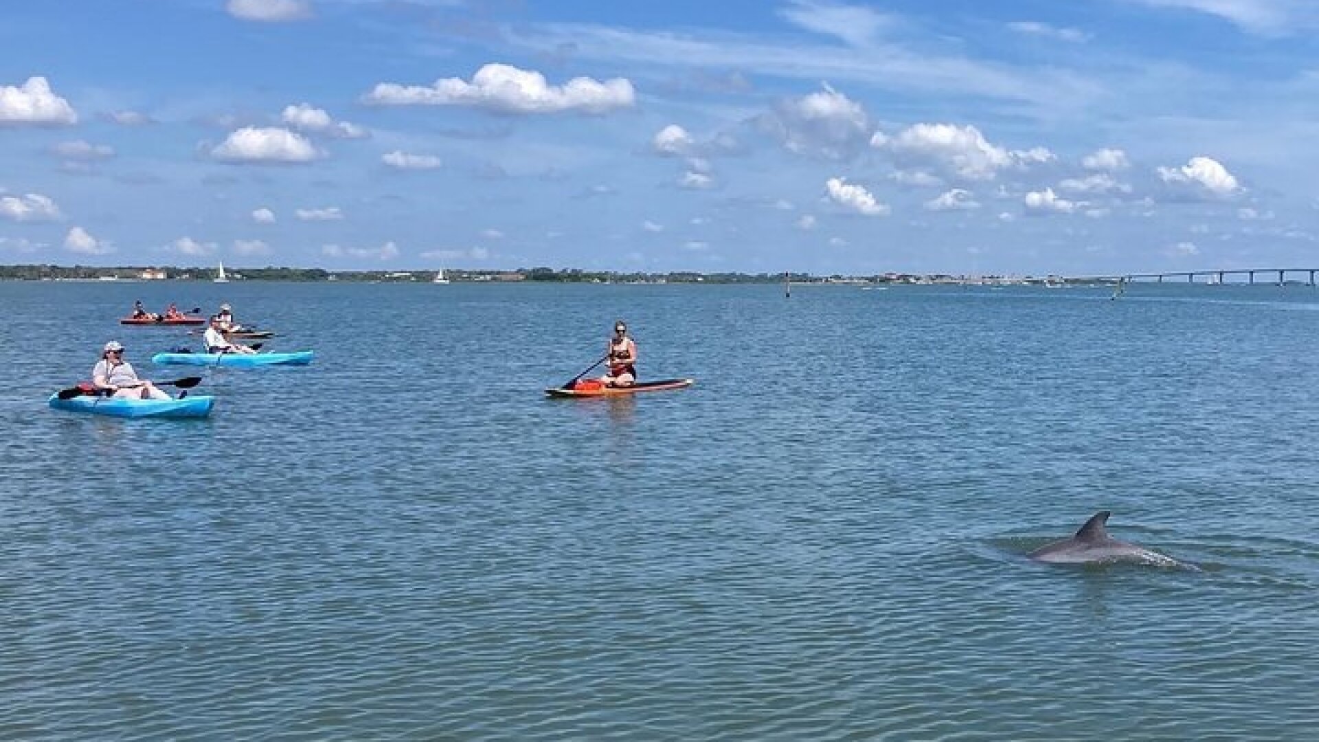 Kayak Rentals
