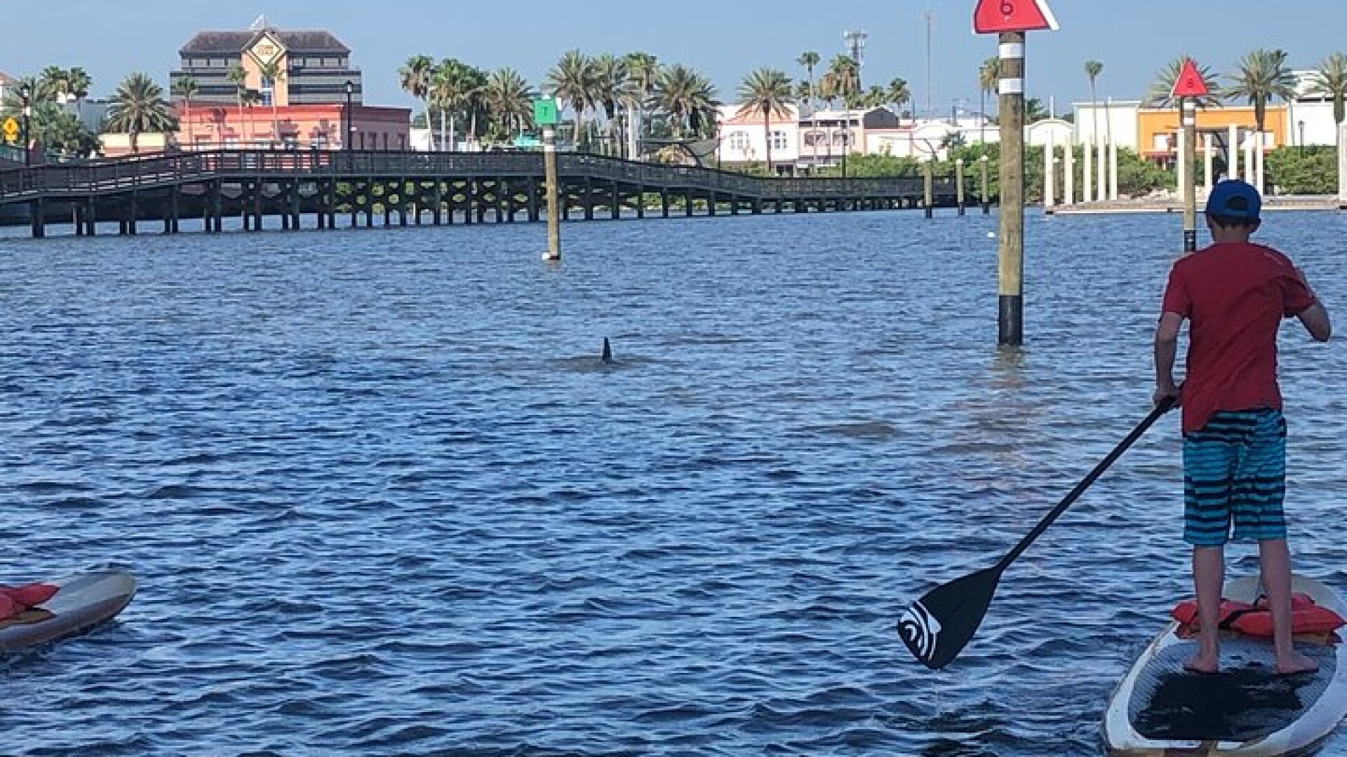 Paddle Board Rental
