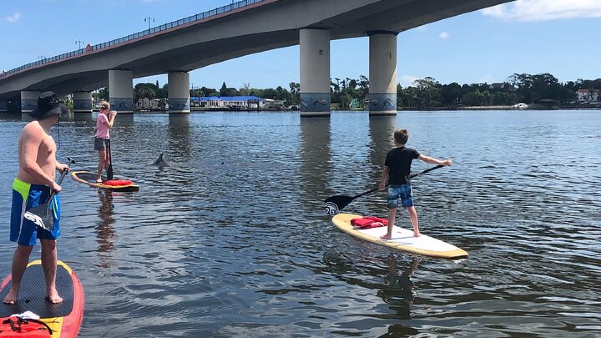 Paddle Board Rental