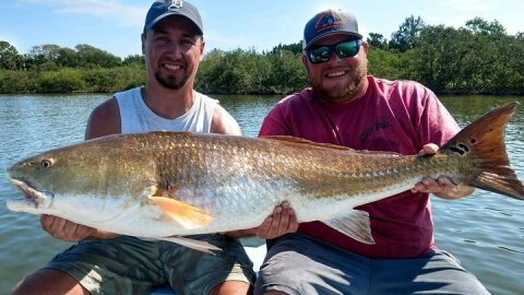 Daytona Inshore Fishing Charter