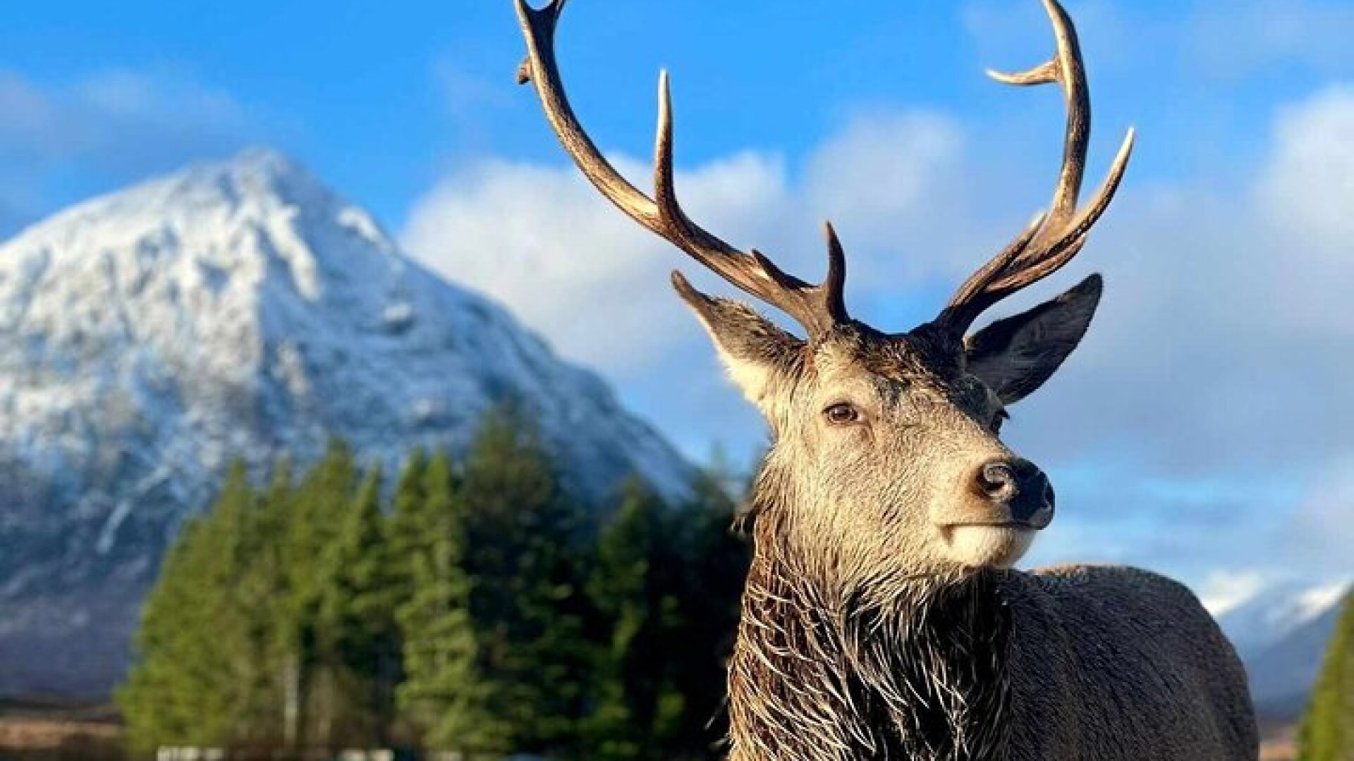 Scottish Highlands, Loch Ness and Glencoe Day Trip from Edinburgh