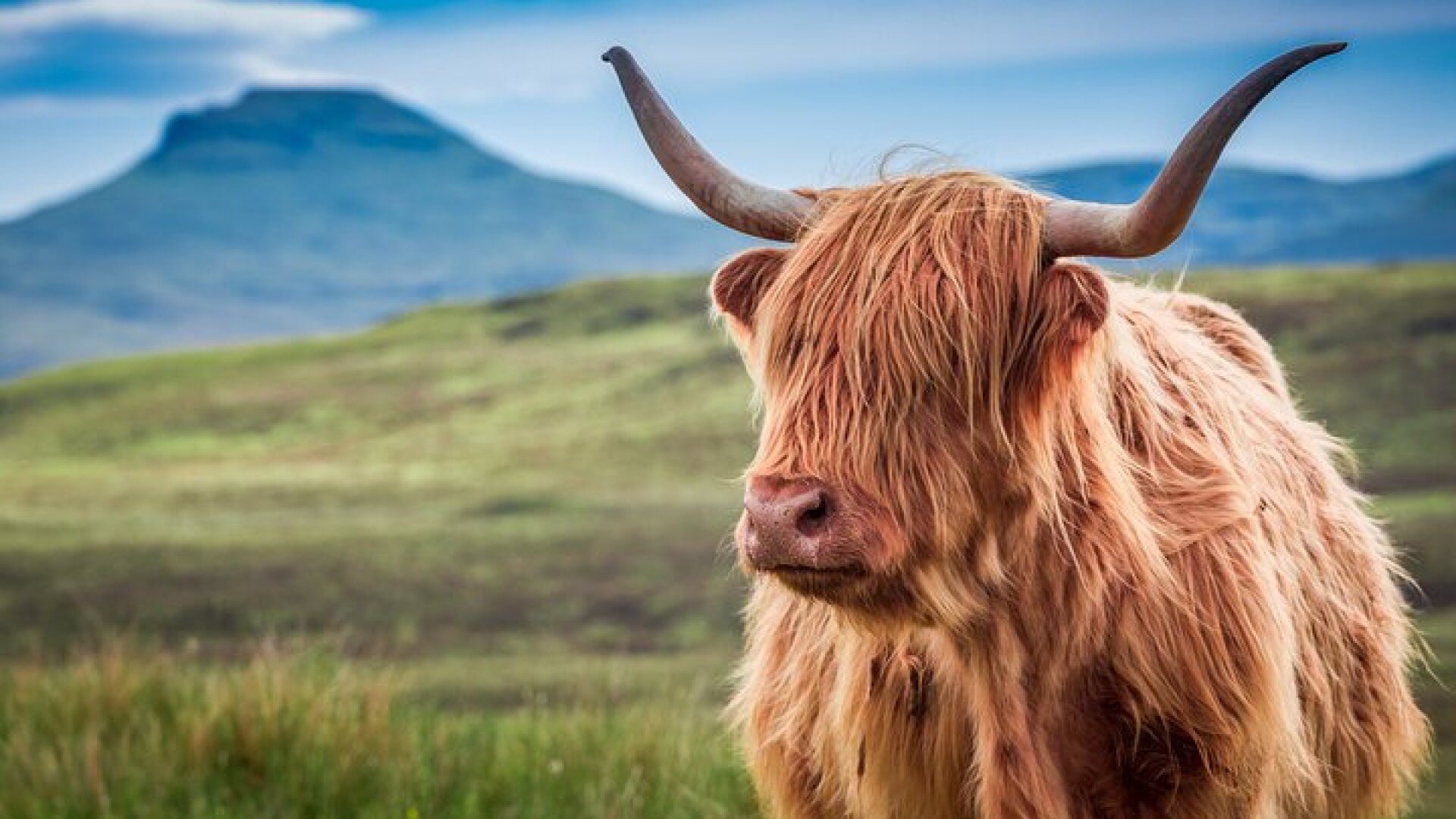 Scottish Highlands, Loch Ness and Glencoe Day Trip from Edinburgh