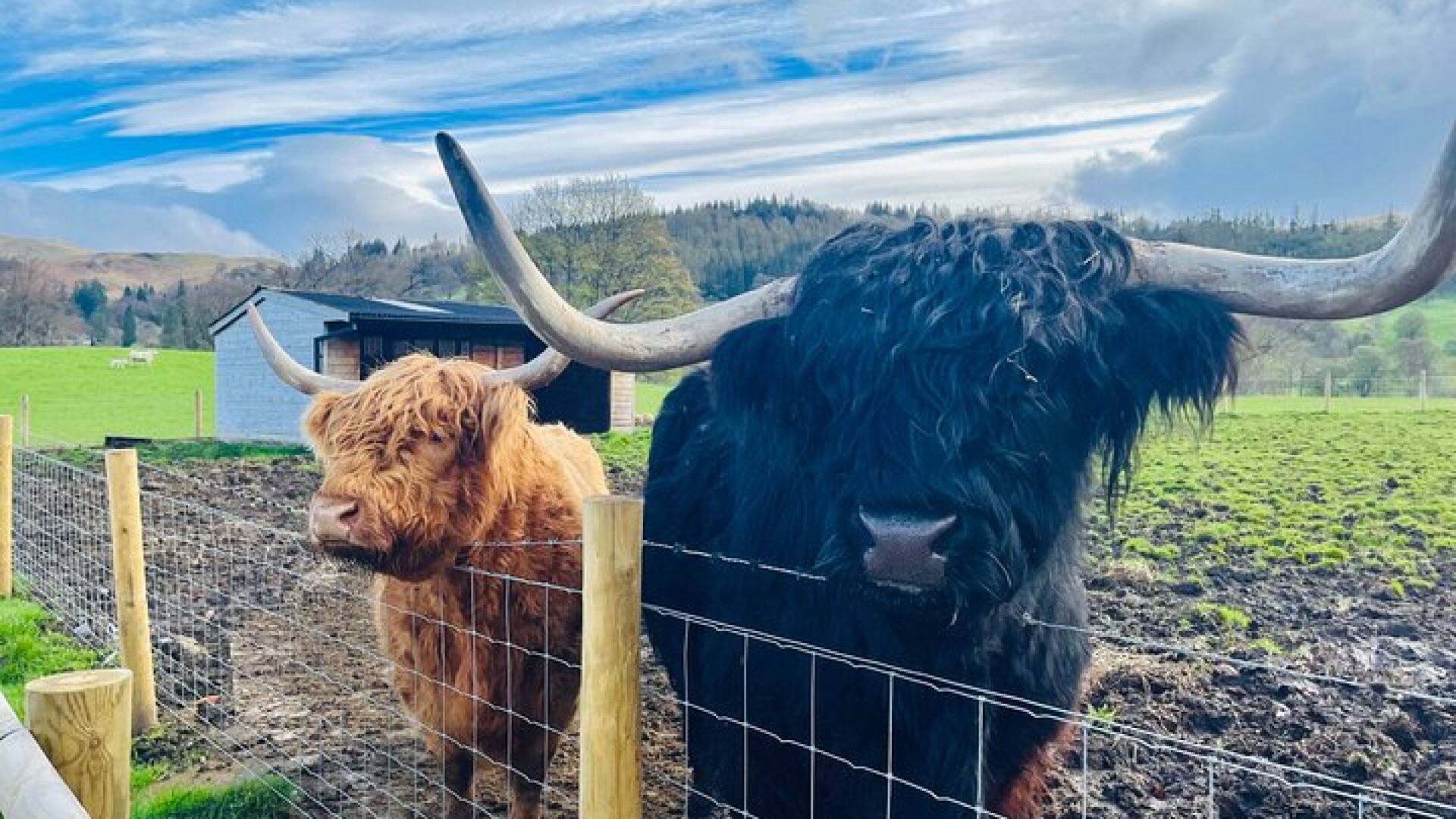 Edinburgh: Loch Ness, Glencoe & The Highlands