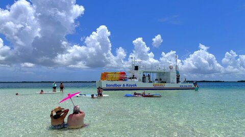 All-Inclusive Sandbar Safari with Dolphin Playground Encounter 