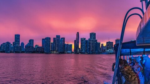 Miami Sunset and City Lights Cocktail Cruise