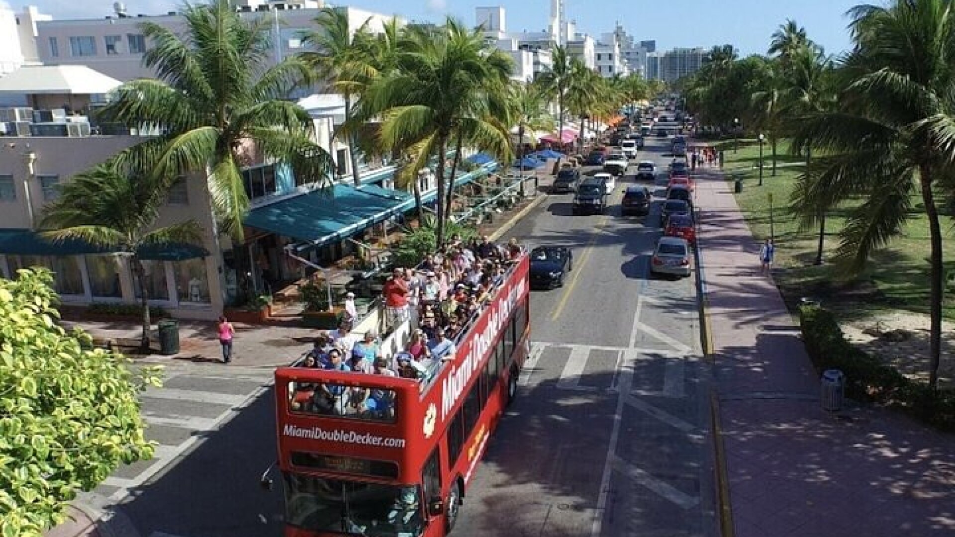 City Half Day Tour of Miami by Bus with Sightseeing Cruise