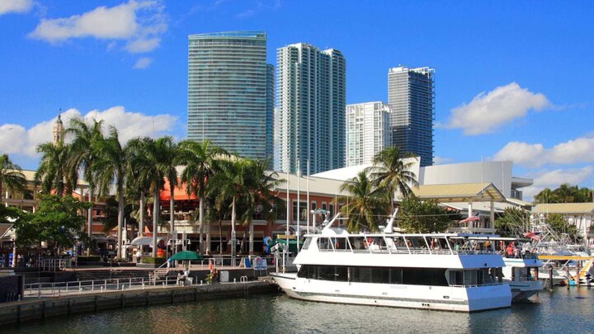 City Half Day Tour of Miami by Bus with Sightseeing Cruise