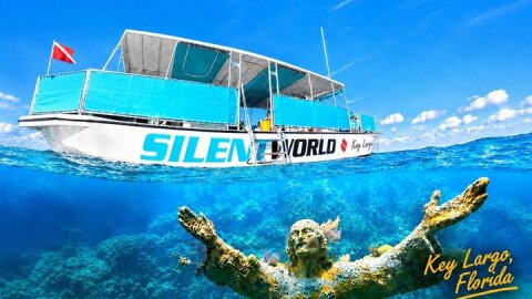 Key Largo Two Reef Snorkel Tour - All Snorkel Equipment Included!