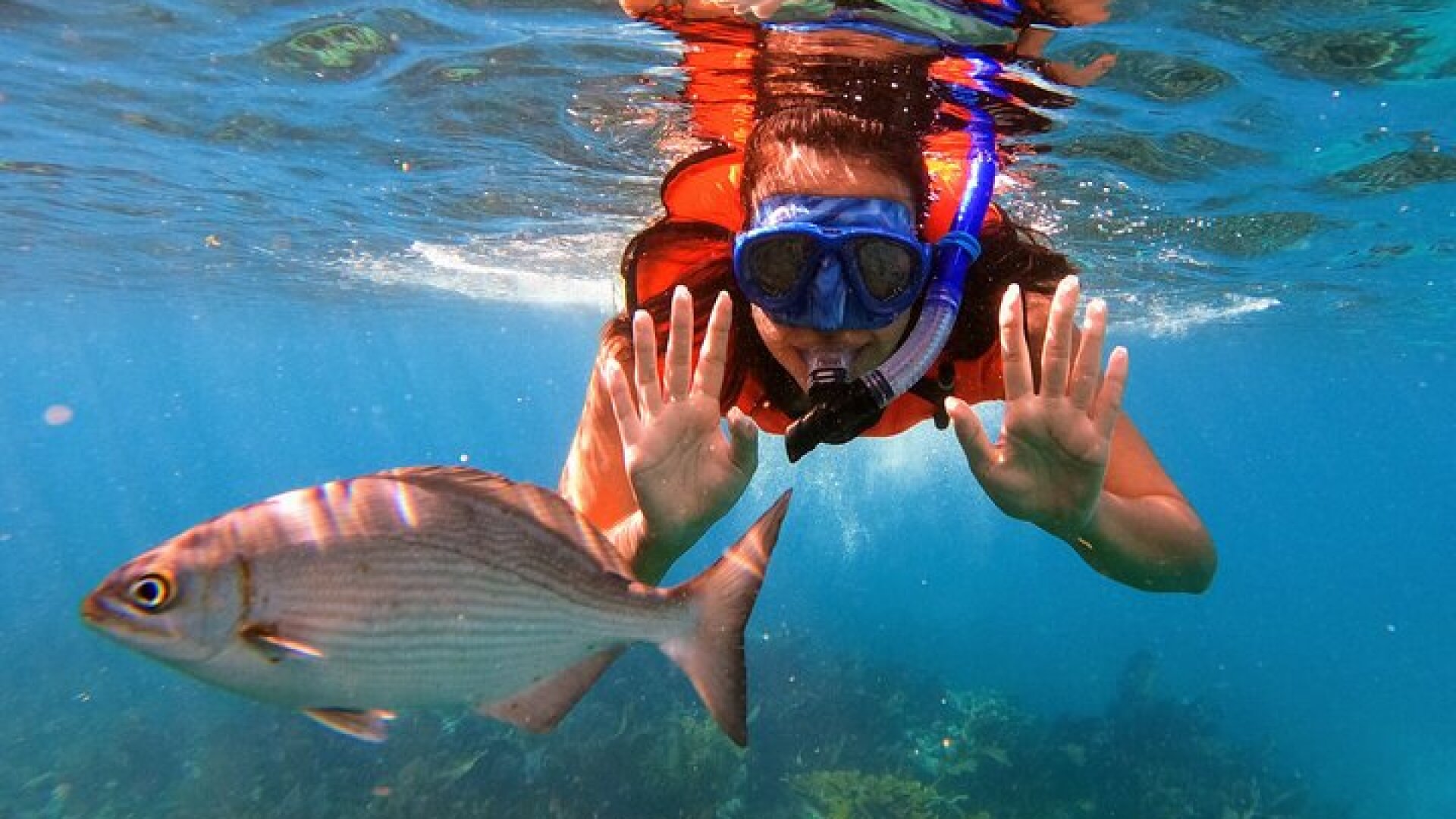 Key Largo Two Reef Snorkel Tour - All Snorkel Equipment Included!