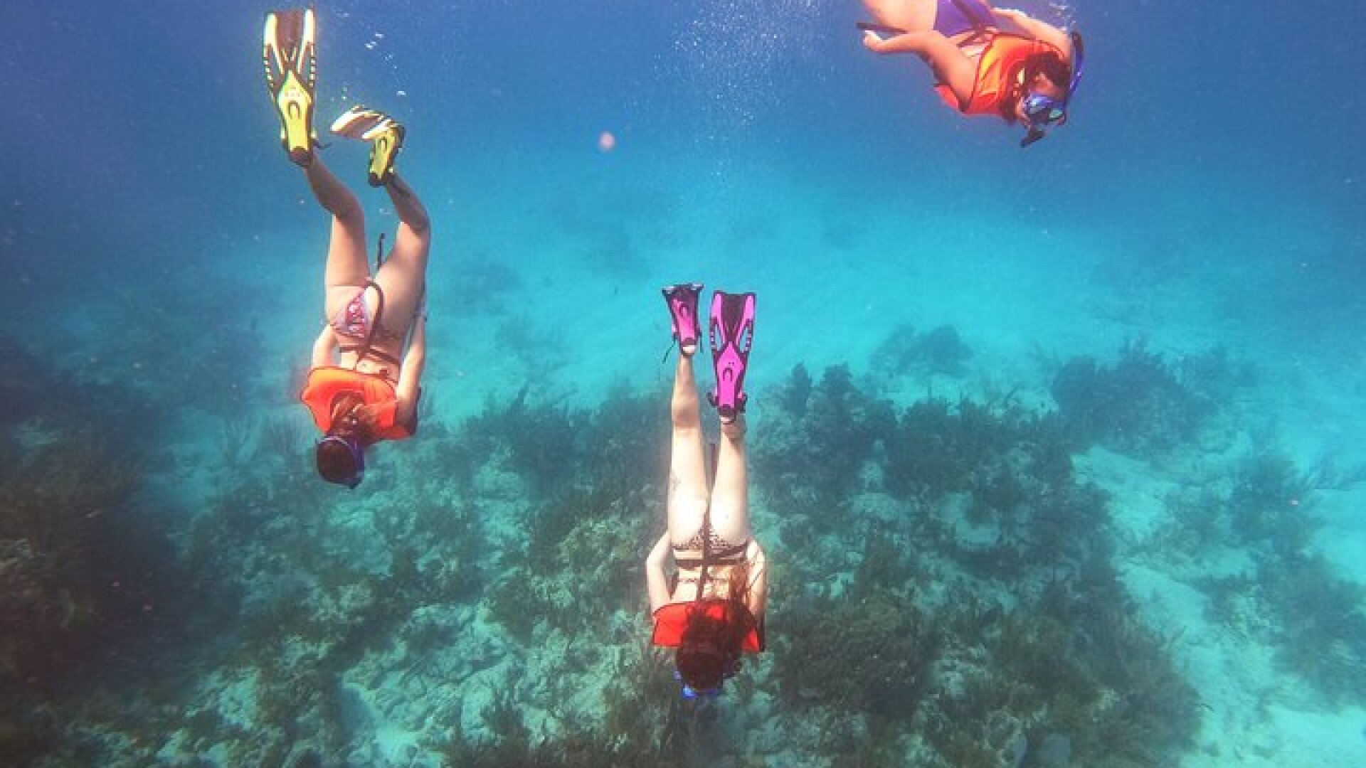 Key Largo Two Reef Snorkel Tour - All Snorkel Equipment Included!