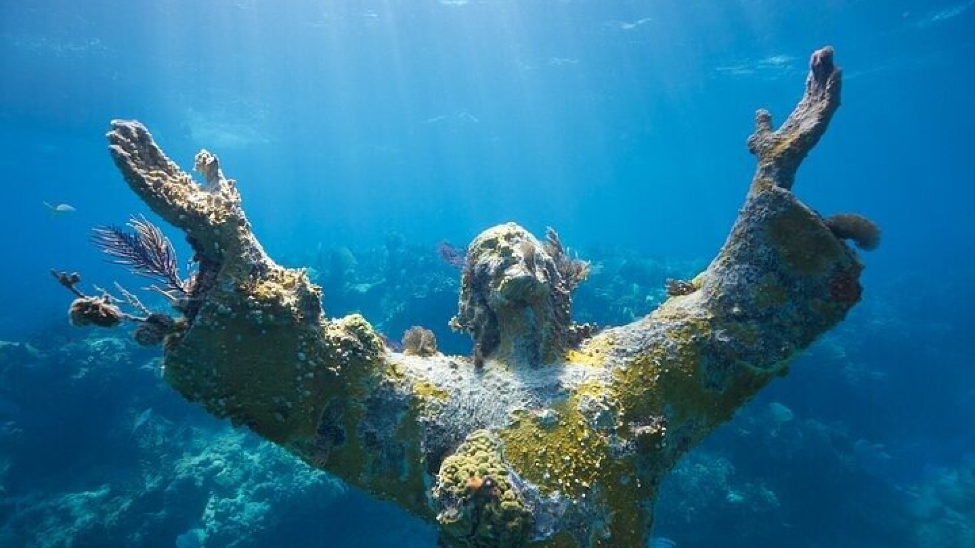 Key Largo Two Reef Snorkel Tour - All Snorkel Equipment Included!