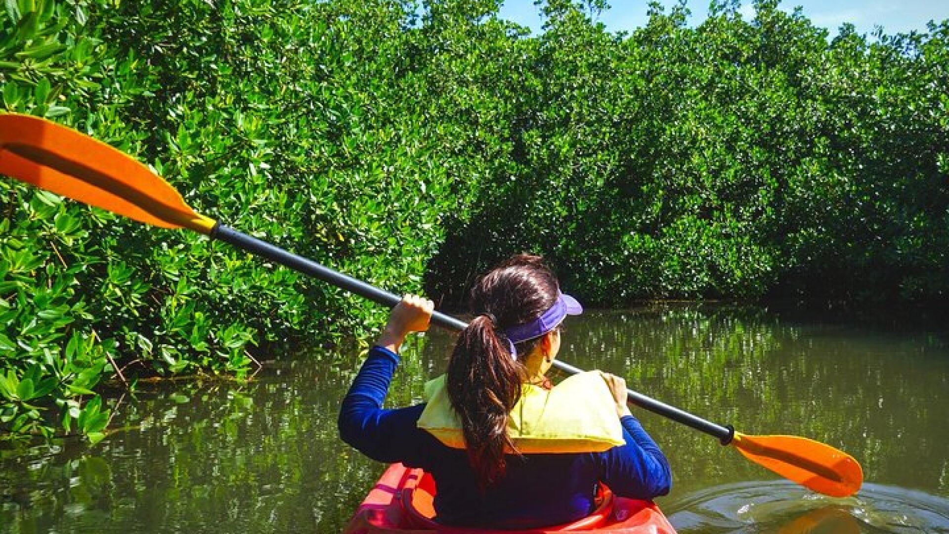 Fort Lauderdale’s Tropical Kayak Tour and Island Adventure
