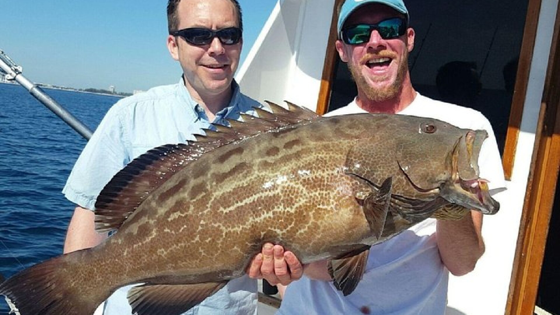 Shared Sportfishing Trip from Fort Lauderdale