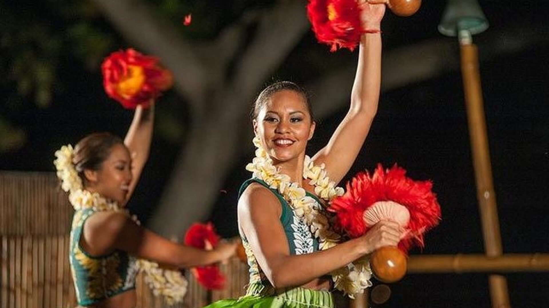 Admission to Voyagers of the Pacific Luau 