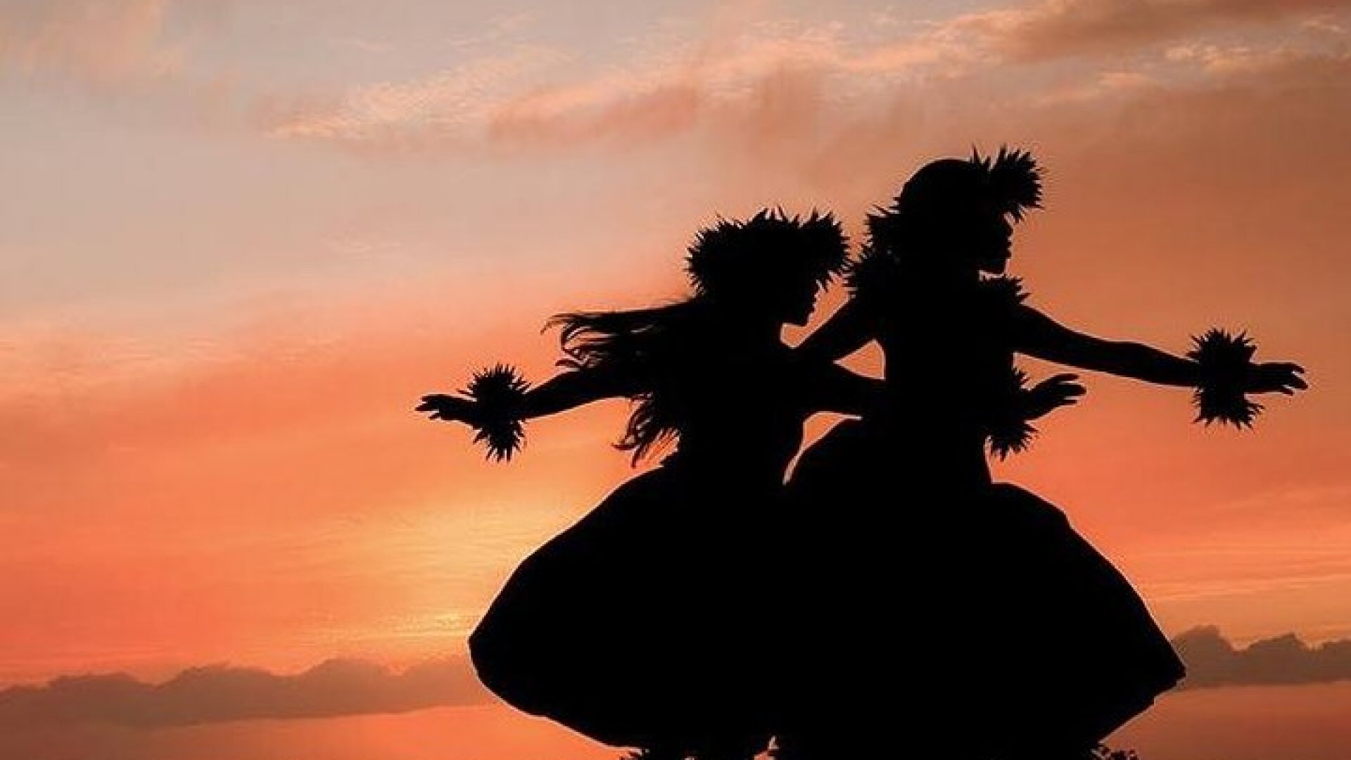 Admission to Voyagers of the Pacific Luau 