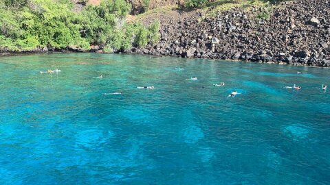 Captain Cook Reef Snorkeling of Kealakekua Bay