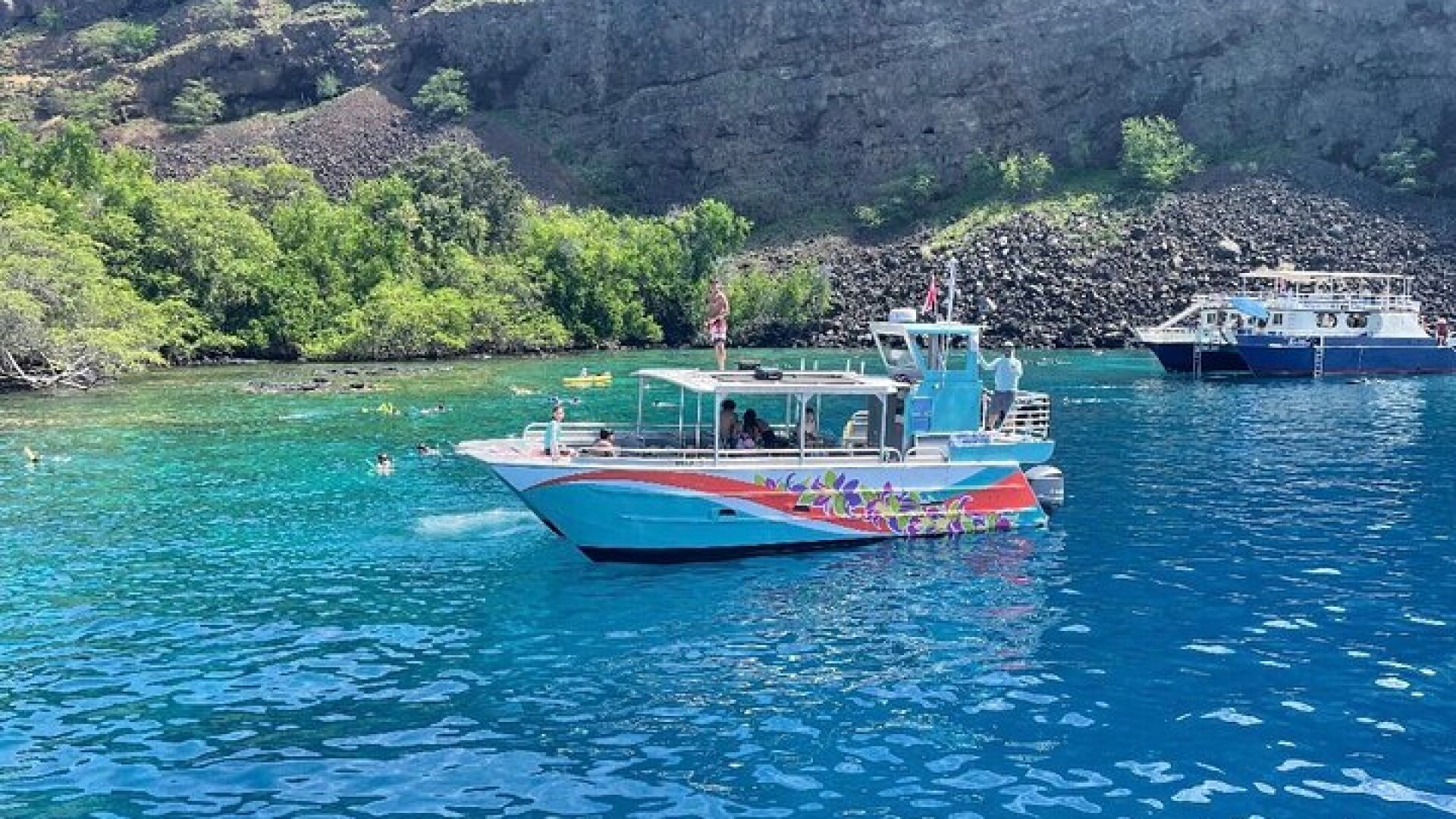 Captain Cook Reef Snorkeling of Kealakekua Bay