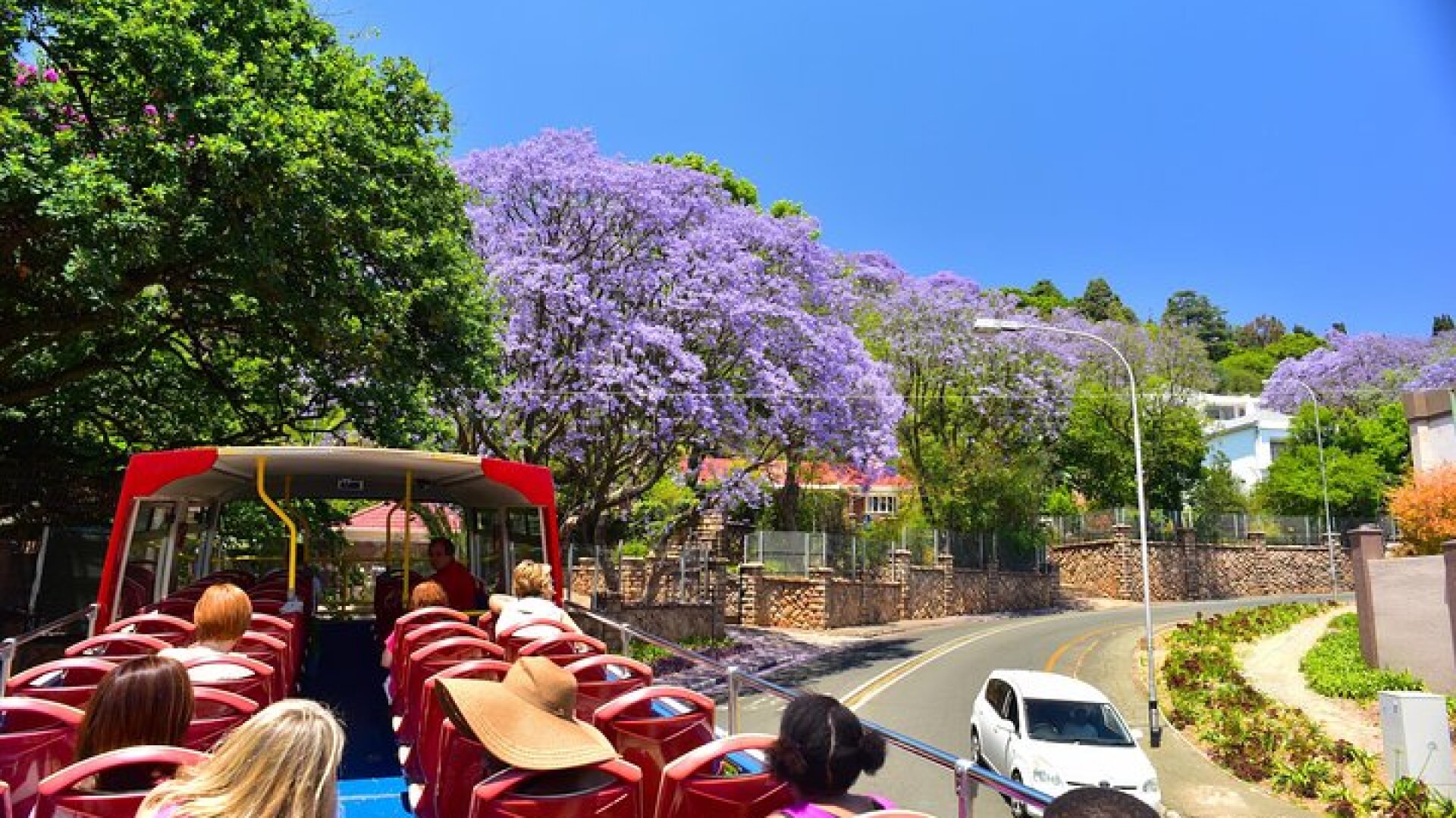 Johannesburg Hop-On Hop-Off City Tour with Soweto Option