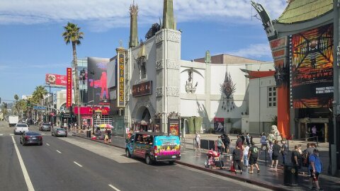 Hollywood, Beverly Hills & Celebrity Homes Tour by Open Air Bus 