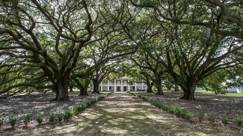 Whitney Plantation