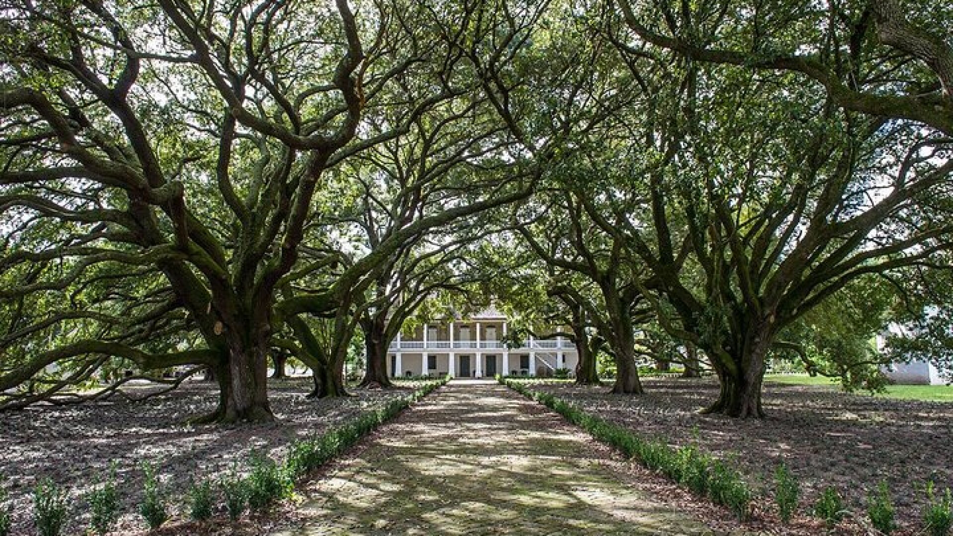Whitney Plantation Tour with Transportation from New Orleans