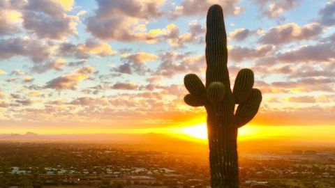 Stunning Sunset or Sunrise Guided Hiking Adventure in Phoenix