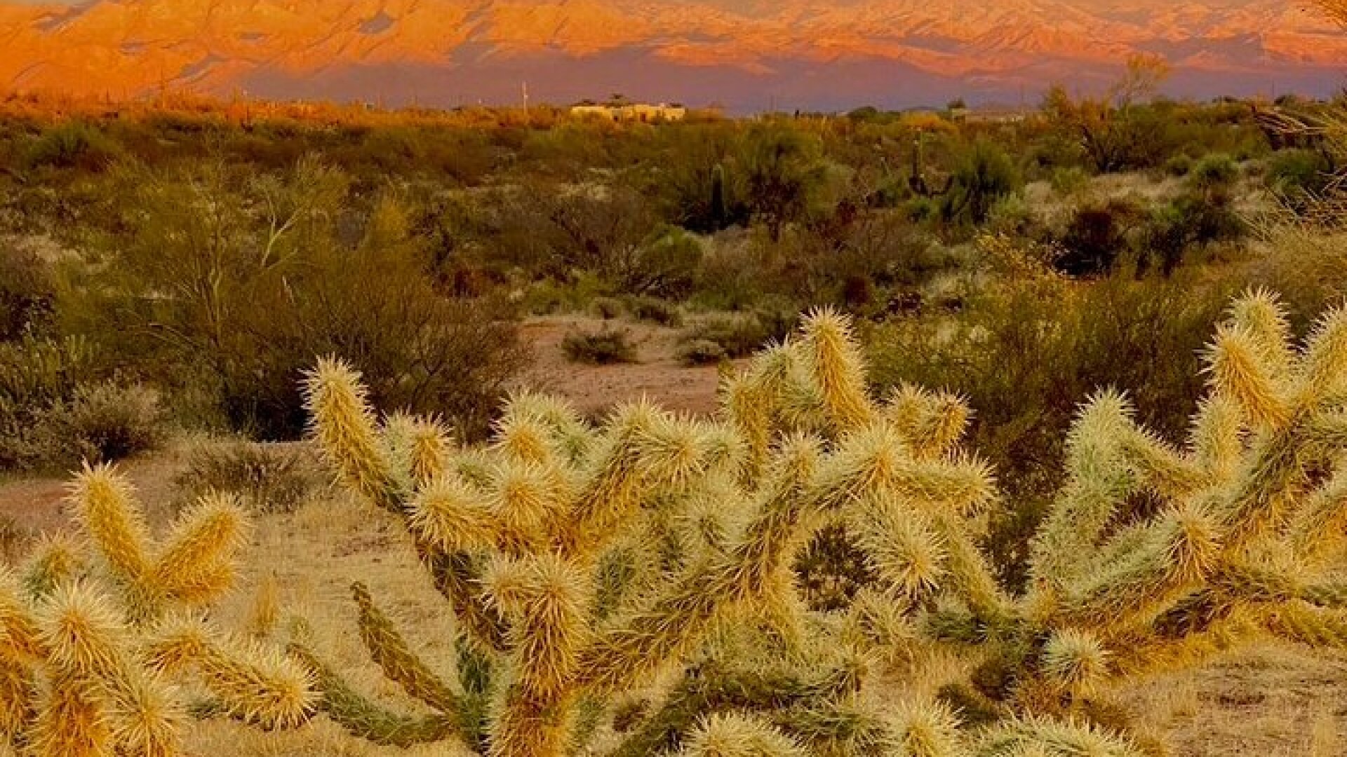 Stunning Sunset or Sunrise Guided Hiking Adventure in Phoenix